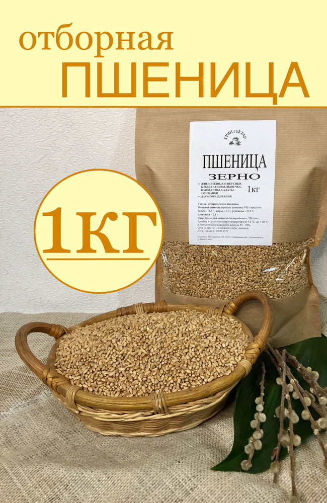 Отборная пшеница 1кг для проращивания, микрозелень, ростки пшеницы, зерно био, витграсс, здоровое питание #1