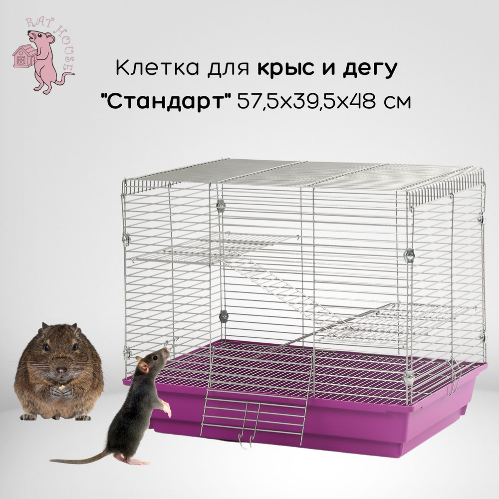 Rat House Клетка для Дегу и крыс "Стандарт" 57,5х39,5х48 см, фиолетовая  #1