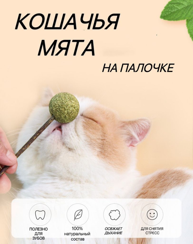 Игрушка для кошек из натуральной кошачьей мяты шарик/Мятный мячик/Шар из кошачьей мяты  #1