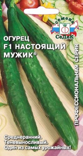 Огурцы Настоящий Мужик F1 0,2гр. (Седек) #1