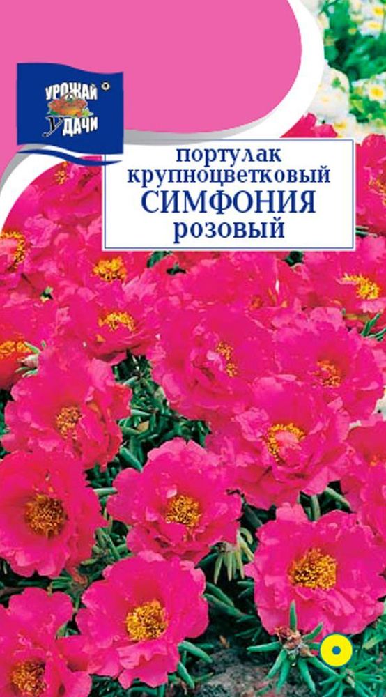 Портулак крупноцветковый СИМФОНИЯ РОЗОВЫЙ (Семена УРОЖАЙ УДАЧИ, 0,05 г семян в упаковке)  #1