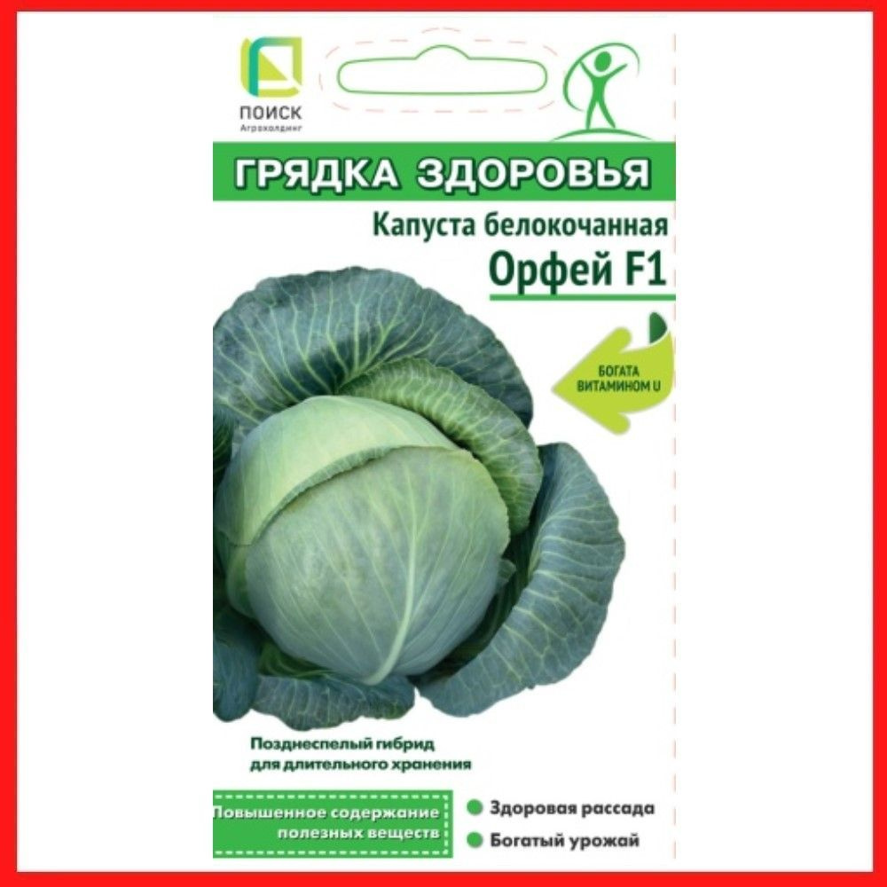 Семена Капуста белокочанная "Орфей F1", 0,2 гр, для дома, дачи и огорода, в открытый грунт, овощи из #1