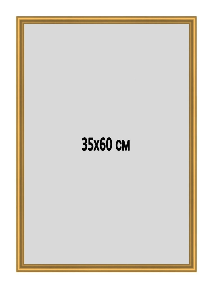 Фоторамка металлическая (алюминиевая) золотая для постера, фотографии, картины 35х60 см. Рамка для зеркала. #1
