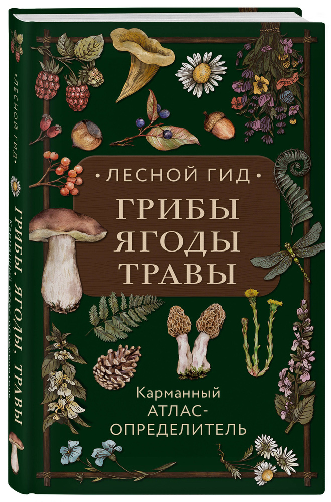 Лесной гид: грибы, ягоды, травы. Карманный атлас-определитель | Семенова Людмила Семеновна  #1