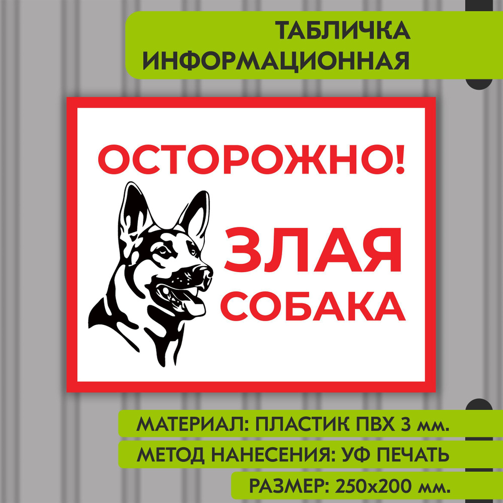 Информационная табличка "Осторожно, злая собака", 250х200 мм. УФ печать не выгорает  #1