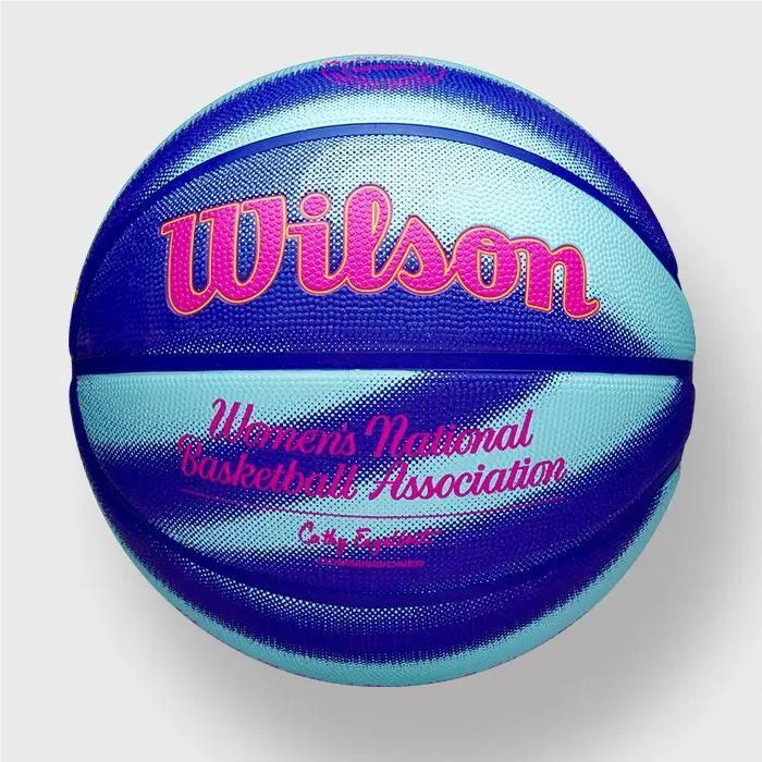 Мяч баскетбольный Wilson NBA 225062819 №6, синий, фиолетовый купить по ...