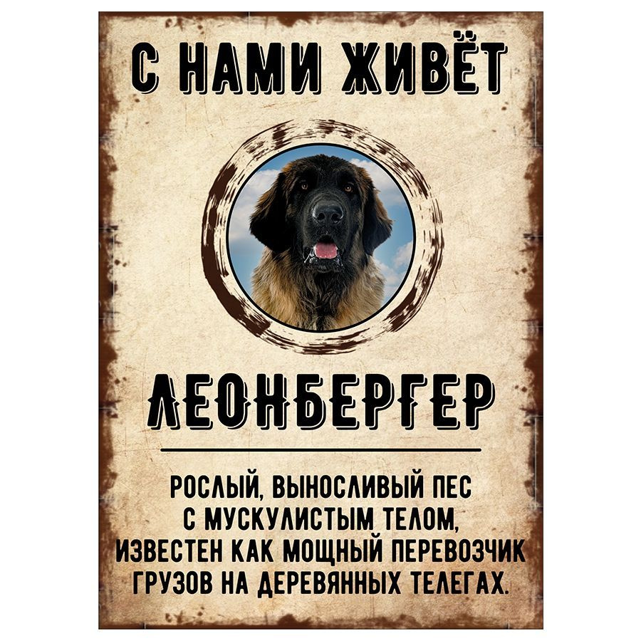 Табличка, декоративная, DANGER DOG, С нами живет Леонбергер, 18см х 25см  #1