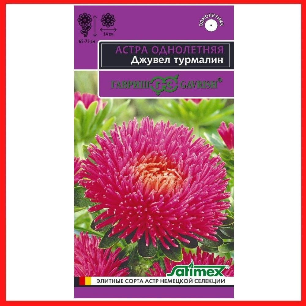 Семена Астра игольчато-коготковая "Джувел Турмалин" 0,05 гр, однолетние цветы для дачи, сада и огорода, #1