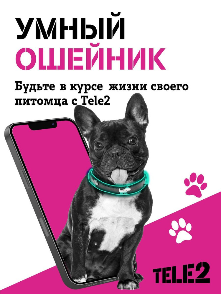 Умный ошейник от Tele2 #1