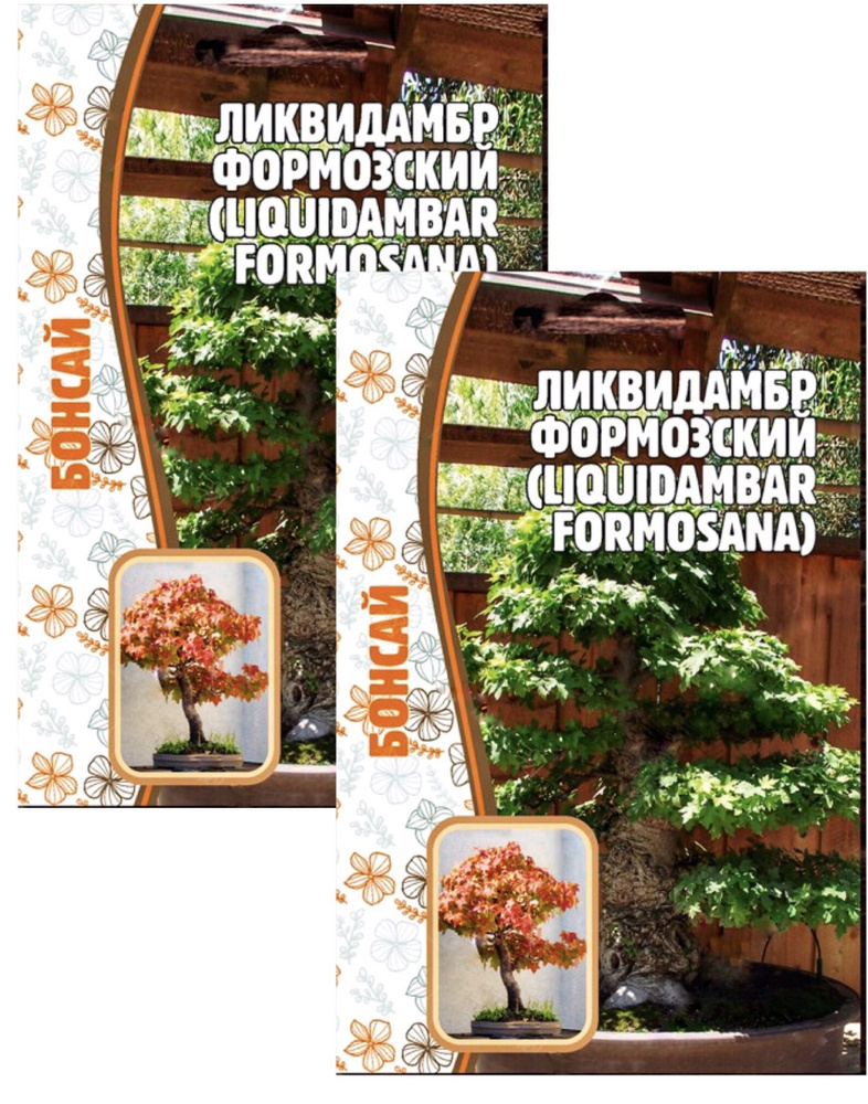 Ликвидамбр Формозский (Liquidambar formosana), 2 пакета, семена 10 шт, ЧК, бонсай  #1