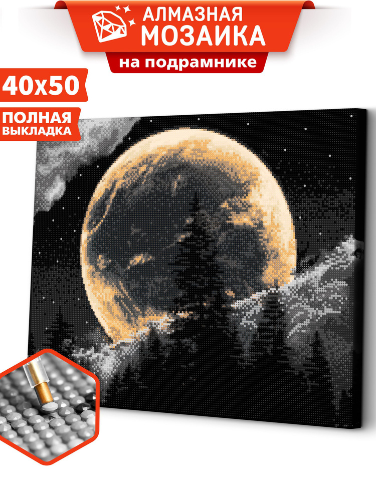 Алмазная мозаика 40х50 холст с подрамником картина стразами, "Лунная ночь"  #1