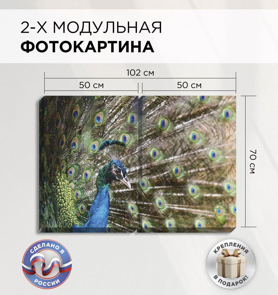 Модульная картина на стену "Павлин" 100х70см, на холсте, из двух частей по 50х70см, Фотопанно на стену, #1