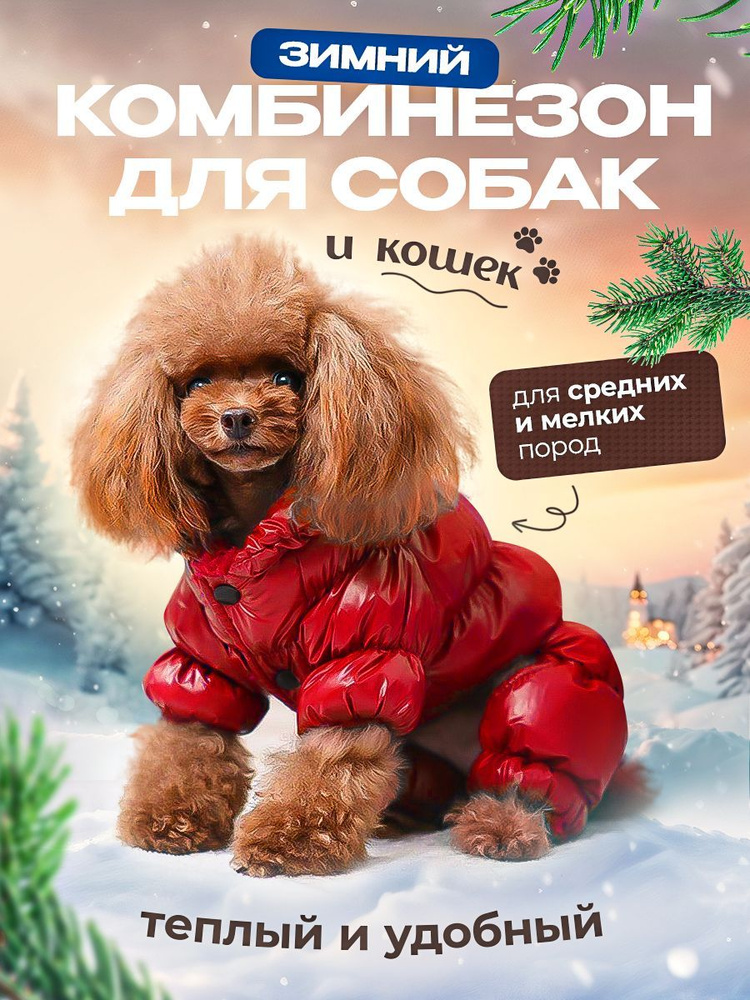 Зимний комбинезон, одежда для собак мелких и средних пород, пуховик для животных красный размер S  #1