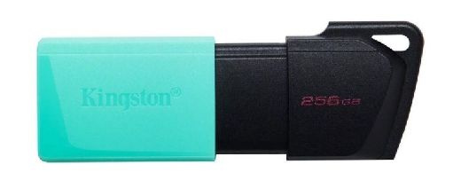 Kingston USB-флеш-накопитель USB-накопитель Kingston DTXM/256GB 256GB Бирюзовый  #1