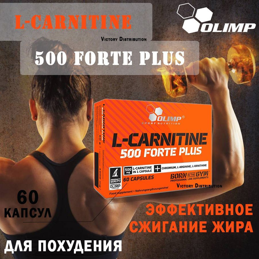 Л-карнитин Olimp L-Carnitine 500 Forte Plus sport edition 60 капсул #1