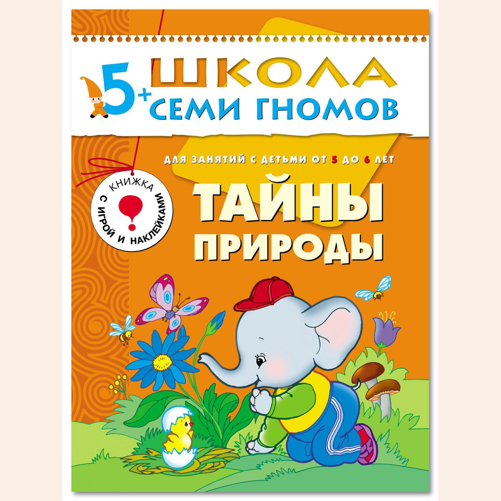 Развивающие книги для малышей 5+. Годовой курс занятий для развития и обучения детей. Детский обучающий #1