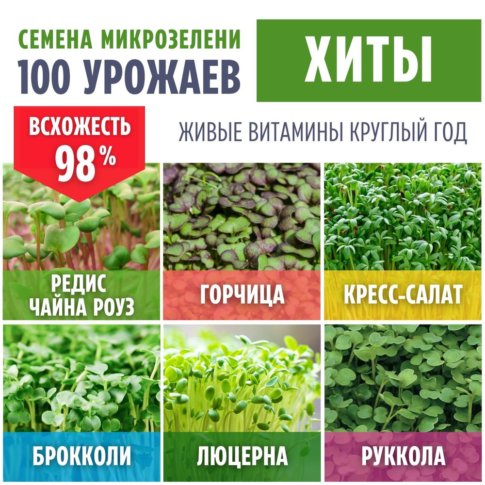 "Хиты 6*50грамм". Микс семян микрозелени. #1