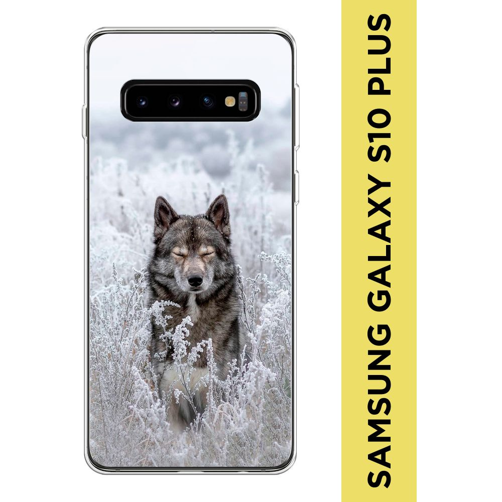 Силиконовый чехол на Samsung Galaxy S10 Plus / Самсунг S10 Plus "Волк в поле"  #1