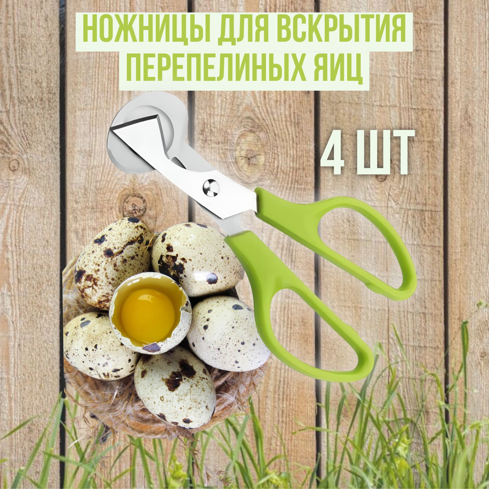 Exmork Ножницы кухонные для вскрытия перепелиных яиц, 14 см  #1