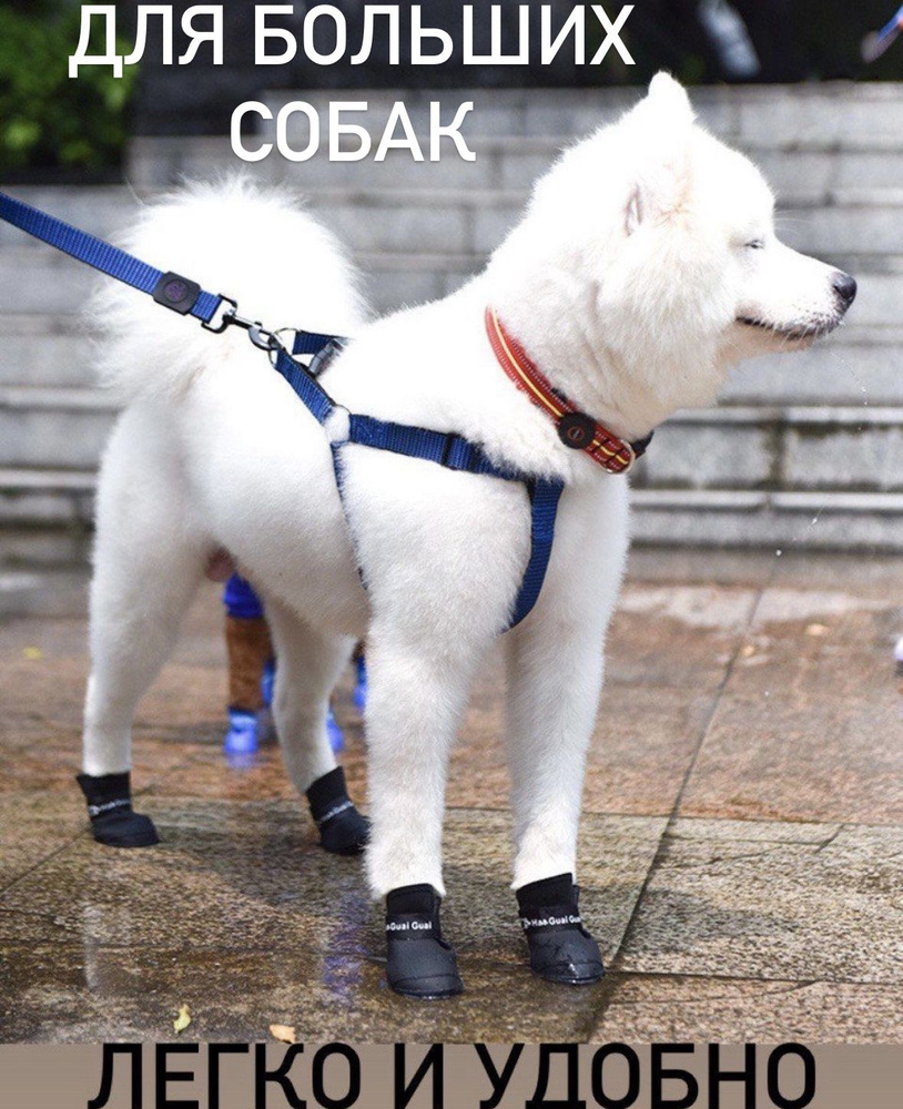 Обувь для собак, силиконовые ботинки для щенков - купить с доставкой по ...