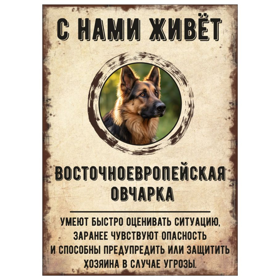Табличка, декоративная, DANGER DOG, С нами живет Восточноевропейская овчарка, 18см х 25см  #1
