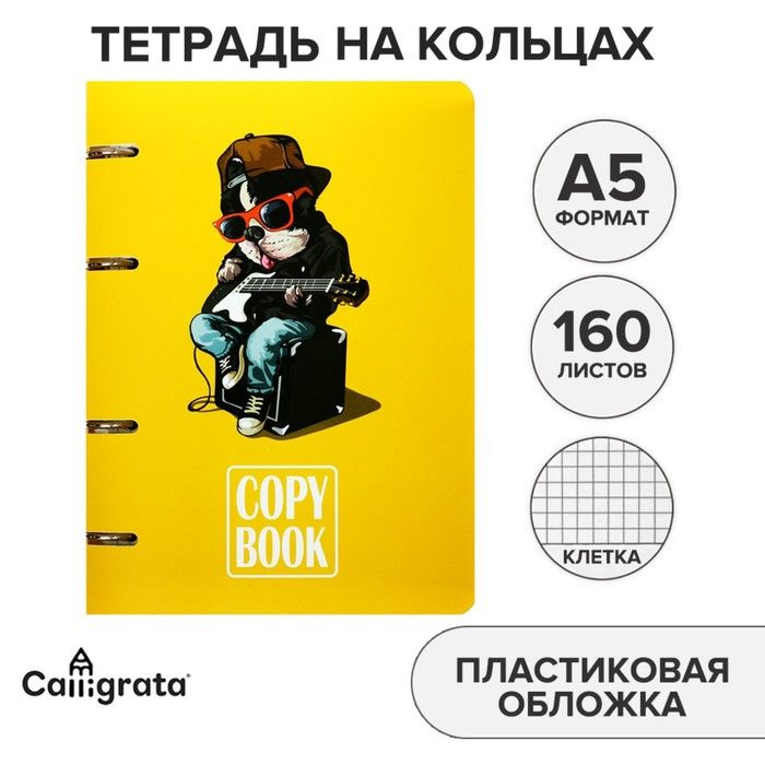 Тетрадь на кольцах, в клетку, 160 листов CoopyBook. Dog пластиковая обложка, блок офсет  #1