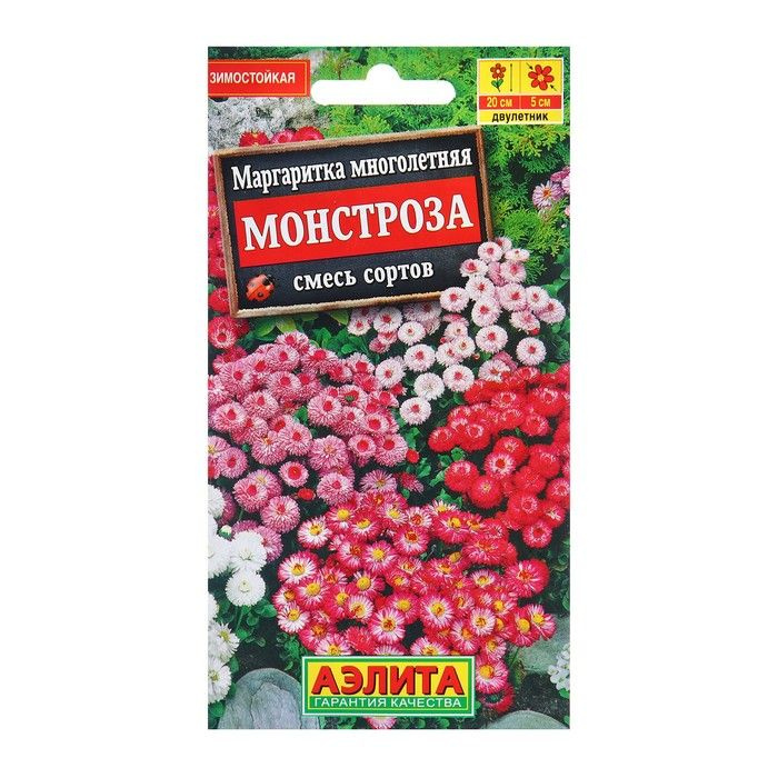 Семена Маргаритка Монстроза, смесь сортов 7 упаковок по 0,05 грамм  #1