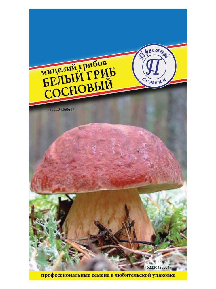 Мицелий грибов "БЕЛЫЙ ГРИБ СОСНОВЫЙ" семена #1