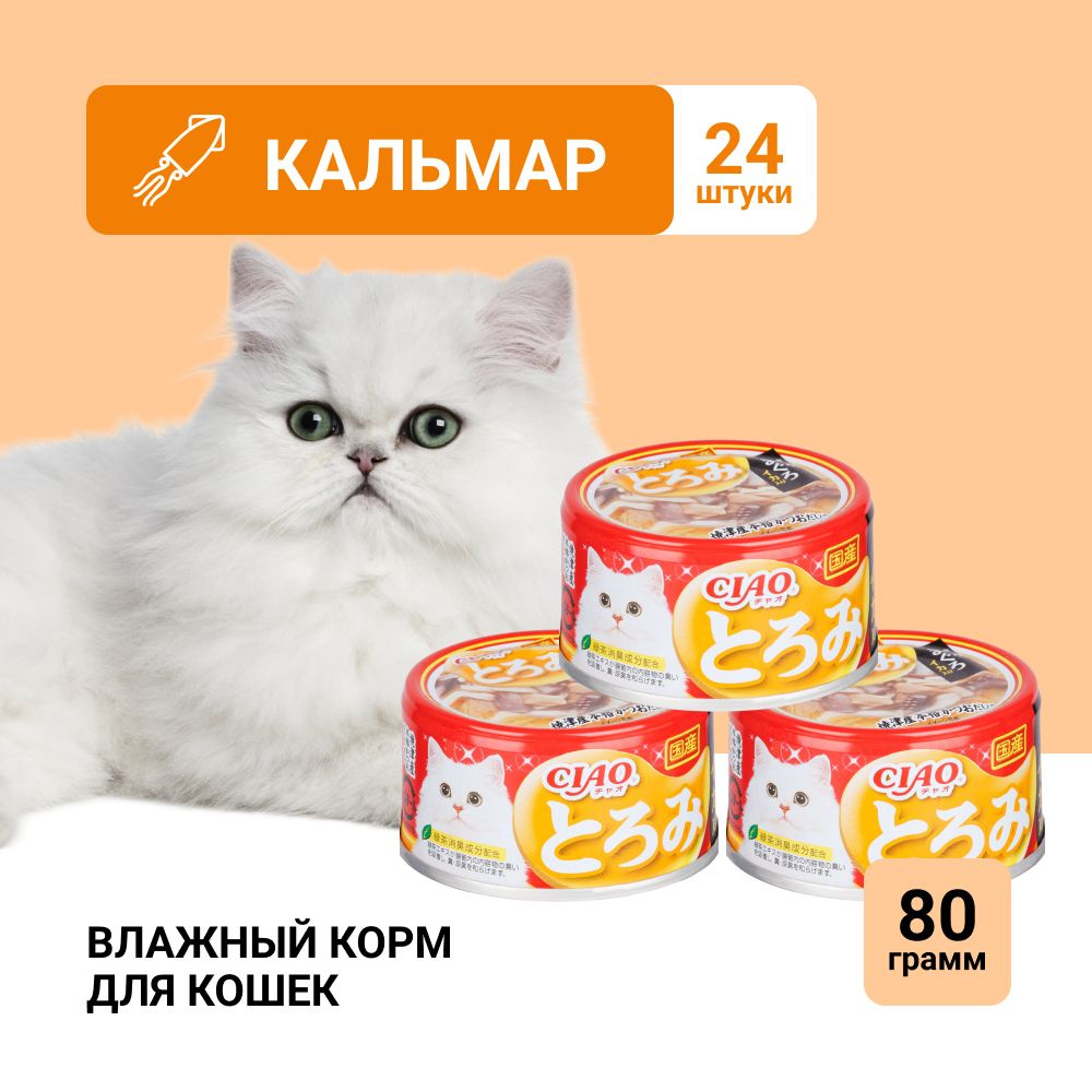 Корм для кошек влажный INABA с кальмаром и тунцом , 80 гр. * 24 шт.  #1