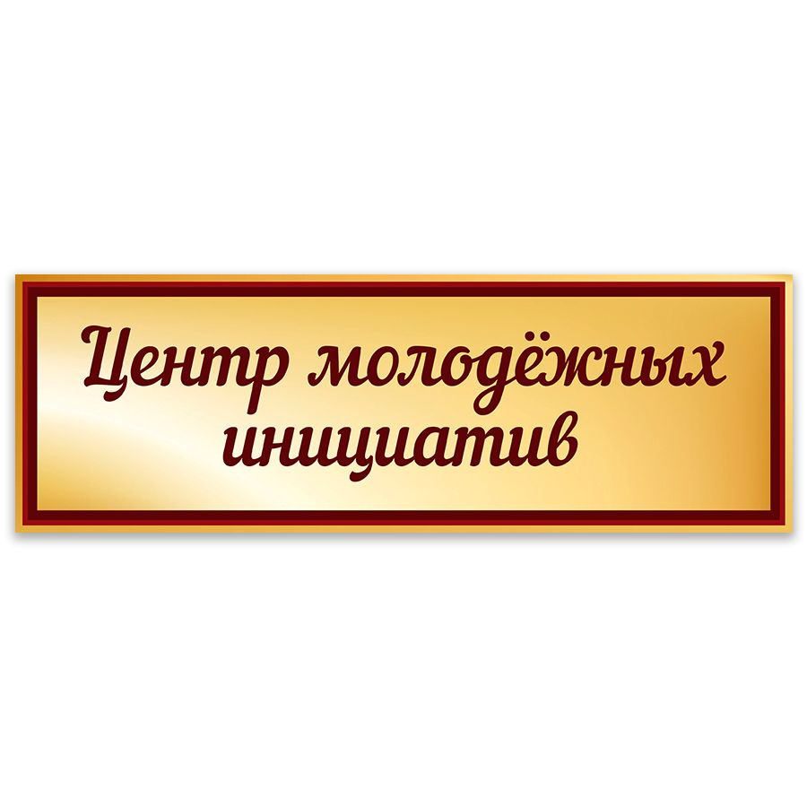 Табличка, Дом стендов, Центр молодежных инициатив, 30 см х 10 см, в школу, на дверь  #1