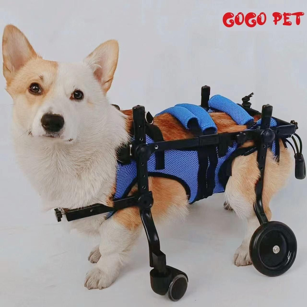 Инвалидная коляска для собак, кошки/Инвалидная коляска (тележка ...