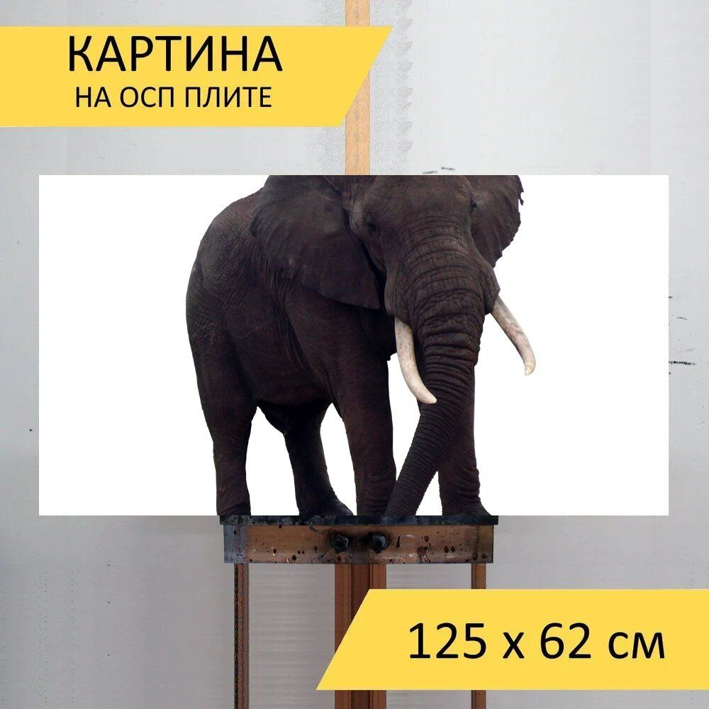LotsPrints Картина "Слон, африка, толстокожий 90", 125  х 62 см #1
