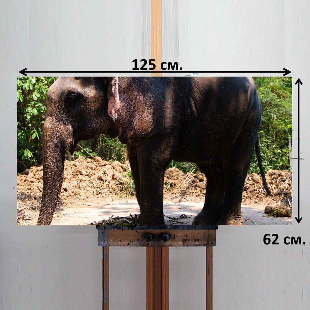 LotsPrints Картина "Слон, животное, джунгли 06", 125  х 62 см #1