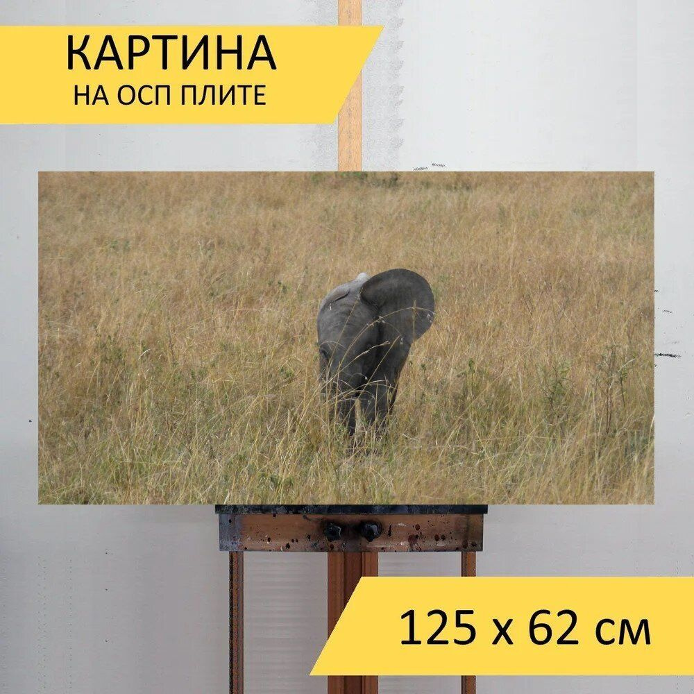 LotsPrints Картина "Слон, детка, ухо 16", 125  х 62 см #1