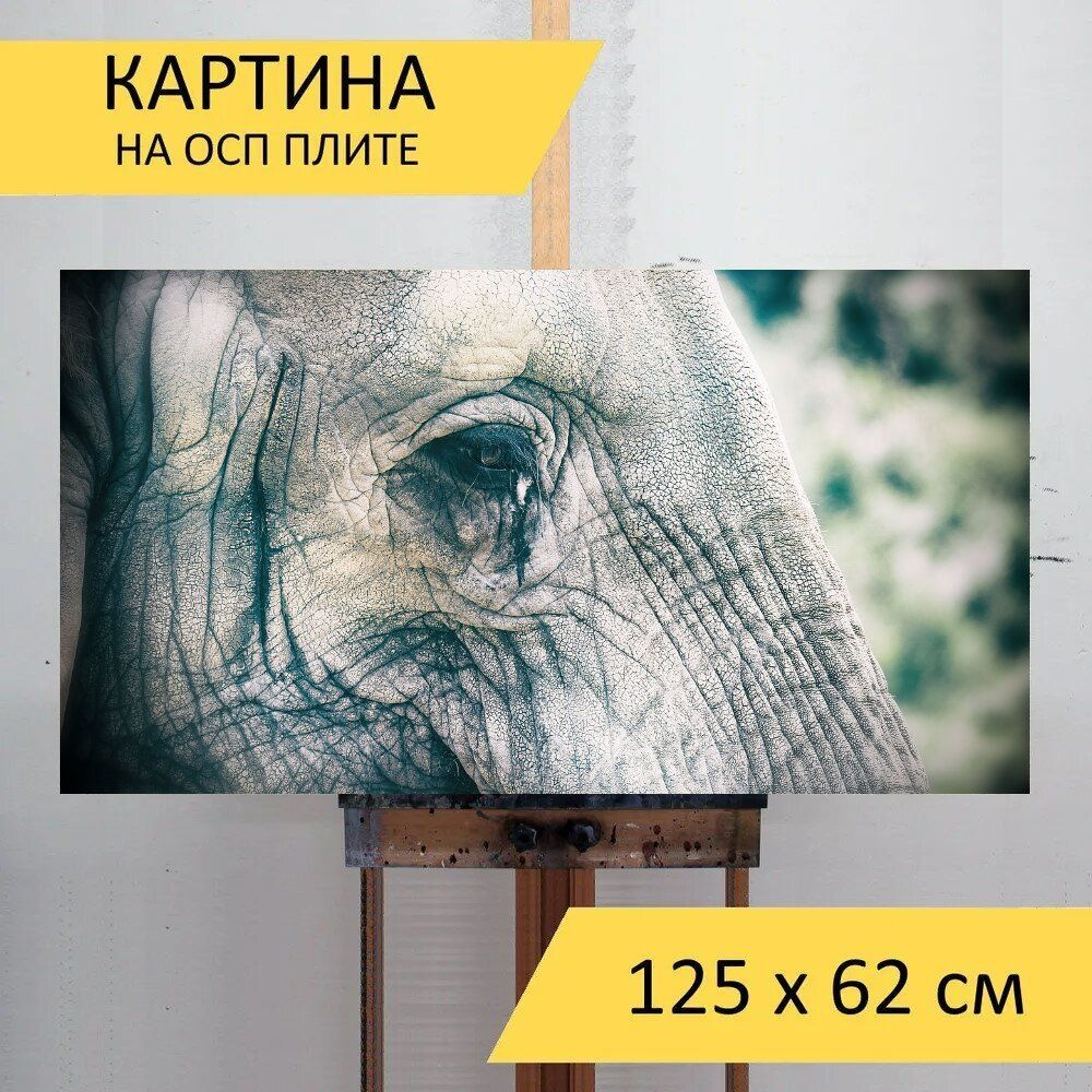 LotsPrints Картина "Слон, животное, дикий 07", 125  х 62 см #1