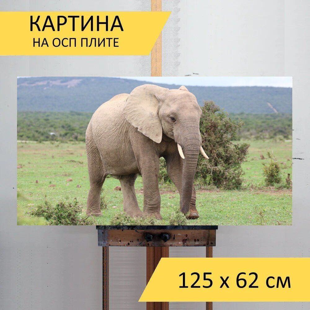 LotsPrints Картина "Слон, слоновая кость, животное 97", 125 х 62 см  #1