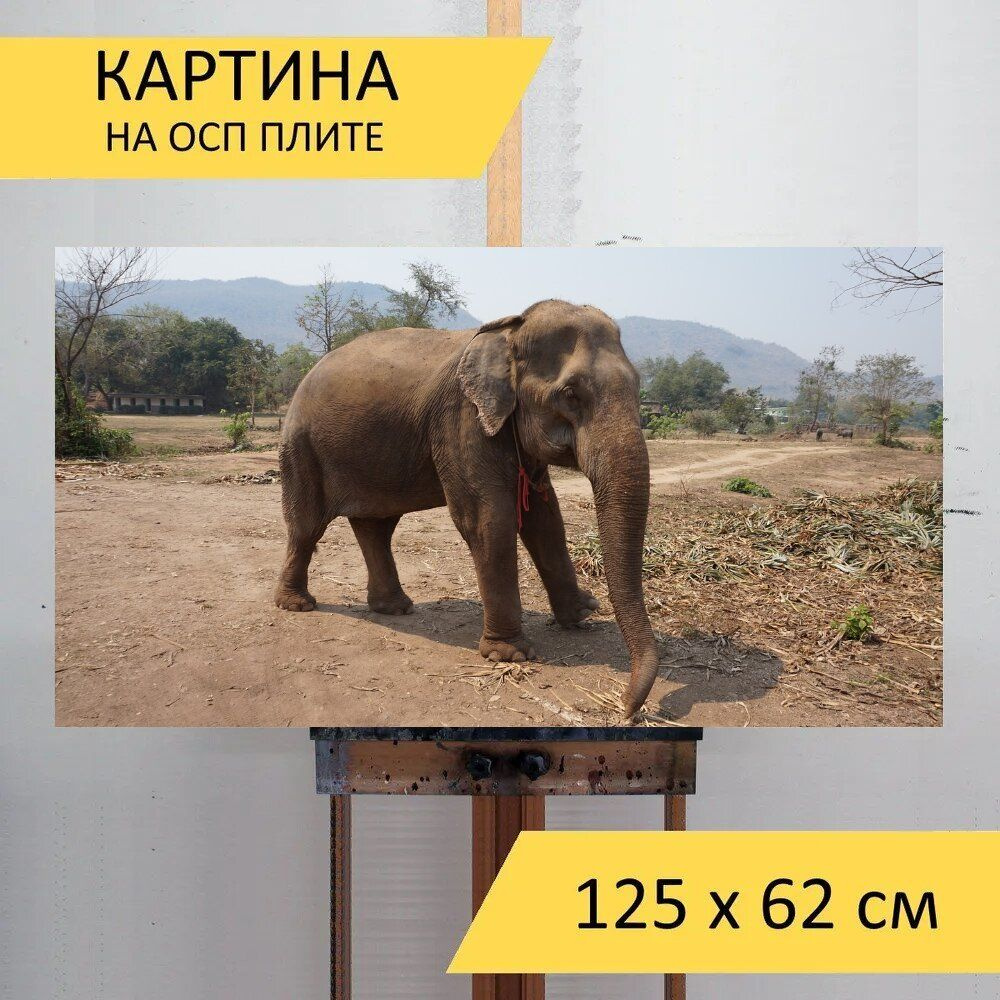 LotsPrints Картина "Слон, таиланд, святилище 90", 125  х 62 см #1