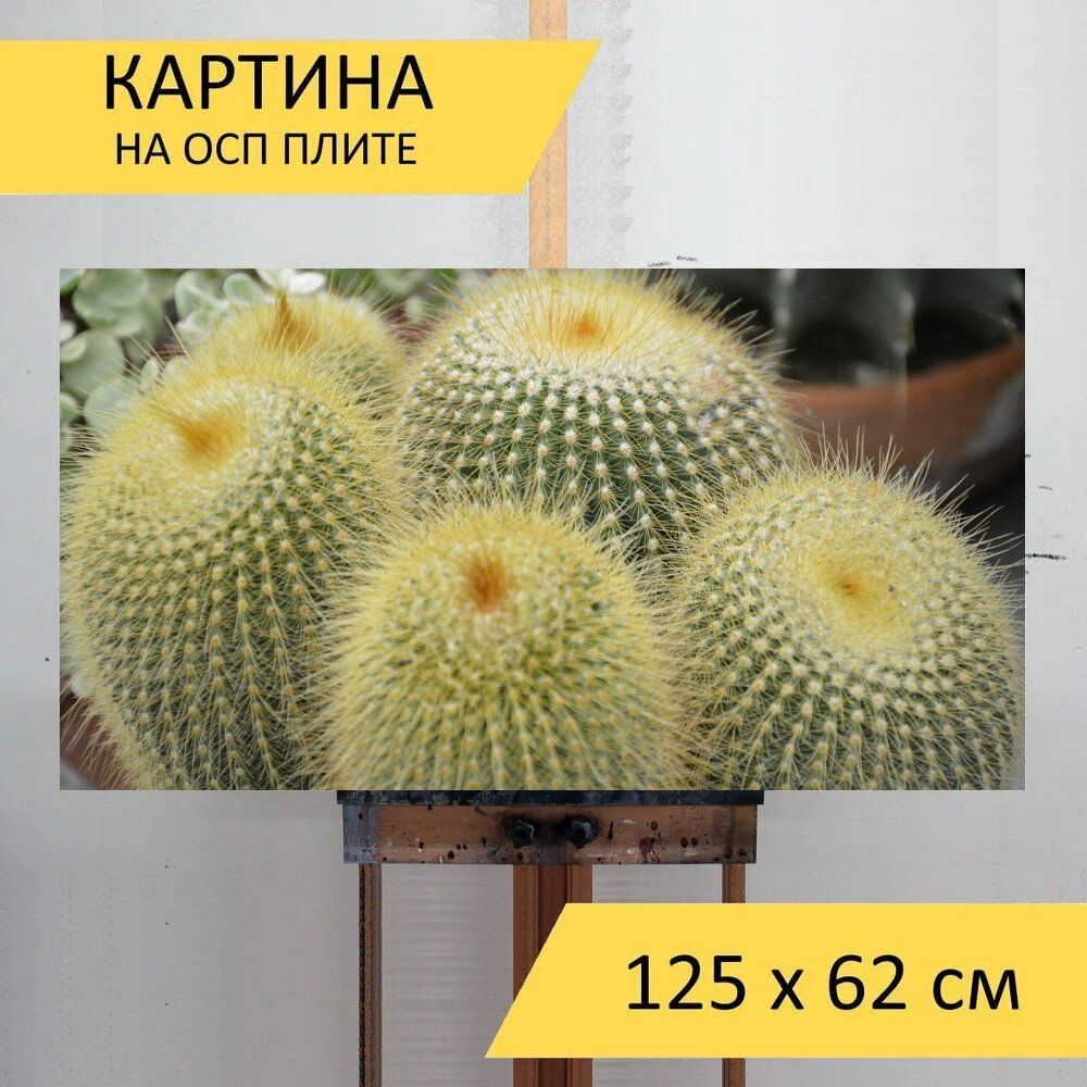 LotsPrints Картина "Кактус, растение колючее, терновый венец 76", 125 х 62 см  #1