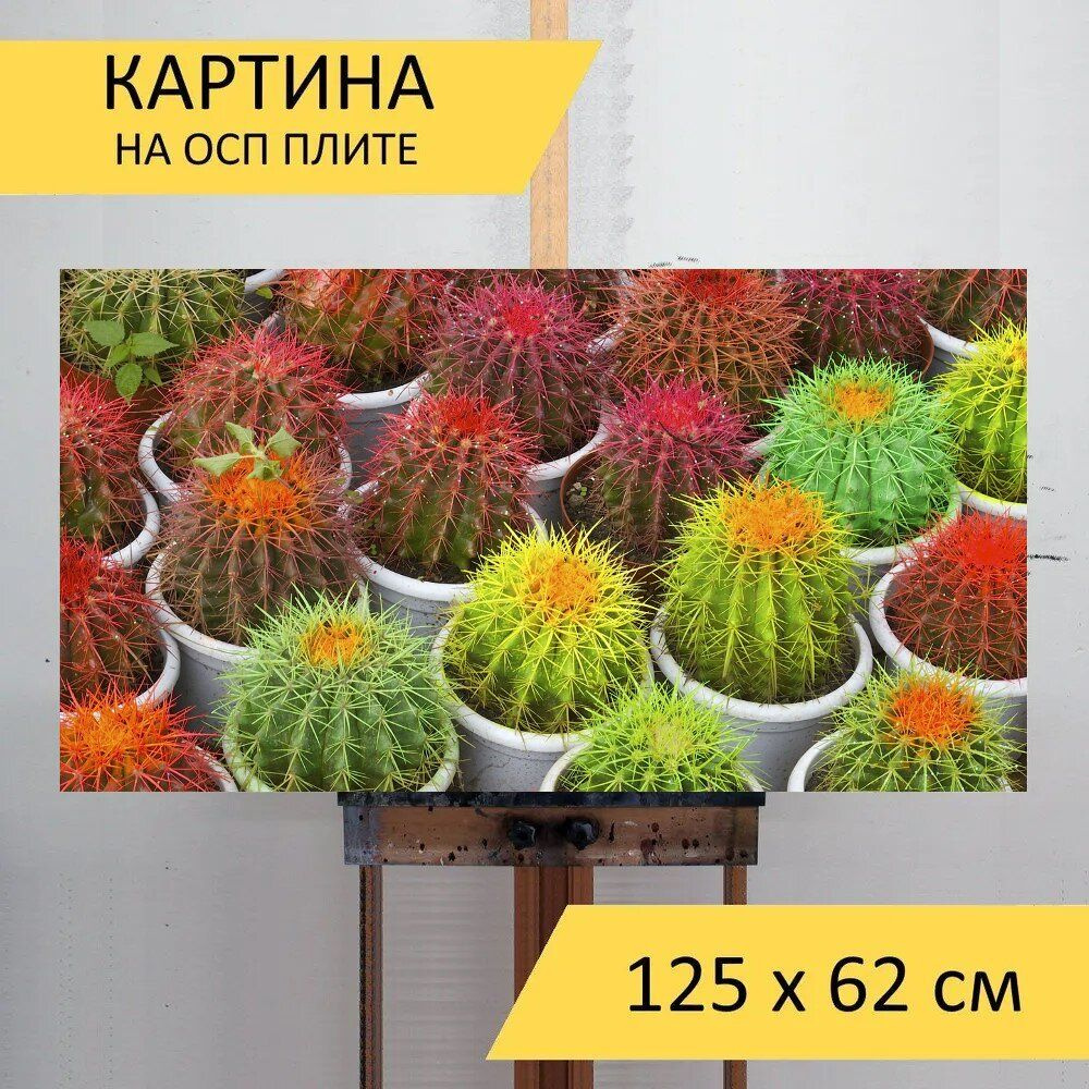 LotsPrints Картина "Кактус, горшки, шипы 31", 125  х 62 см #1