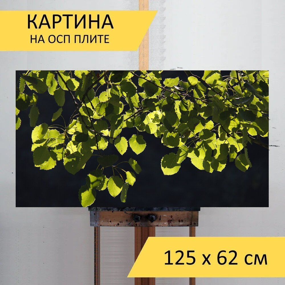 LotsPrints Картина "Листья, бук, подсветка 11", 125  х 62 см #1