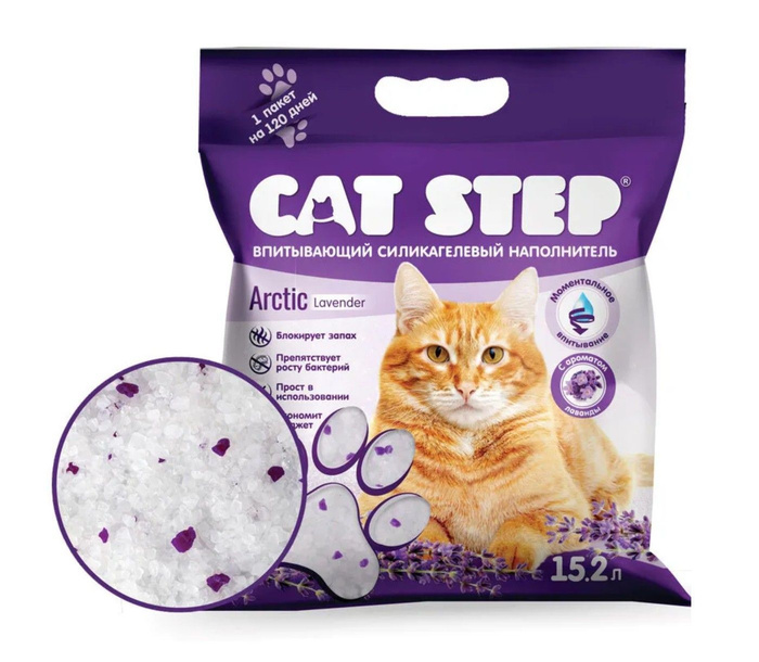 Cat step Cat step