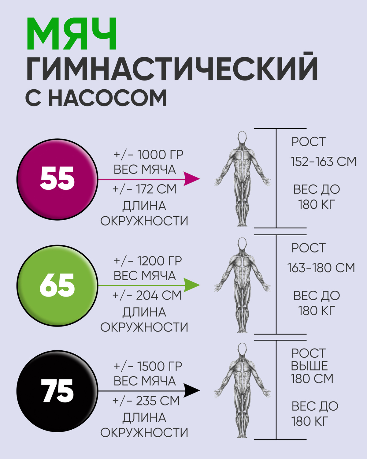 Текстовое описание изображения