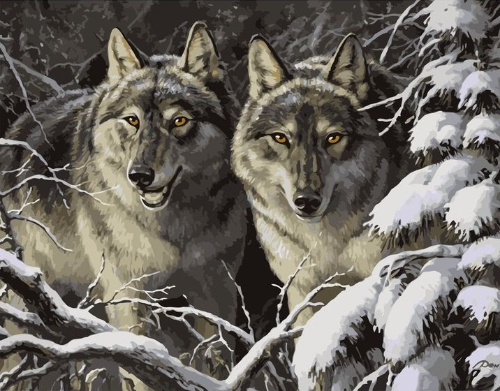 Картина по номерам на холсте 40x50 40 х 50 с подрамником "Пепельные волки в зимнем лесу."  #1