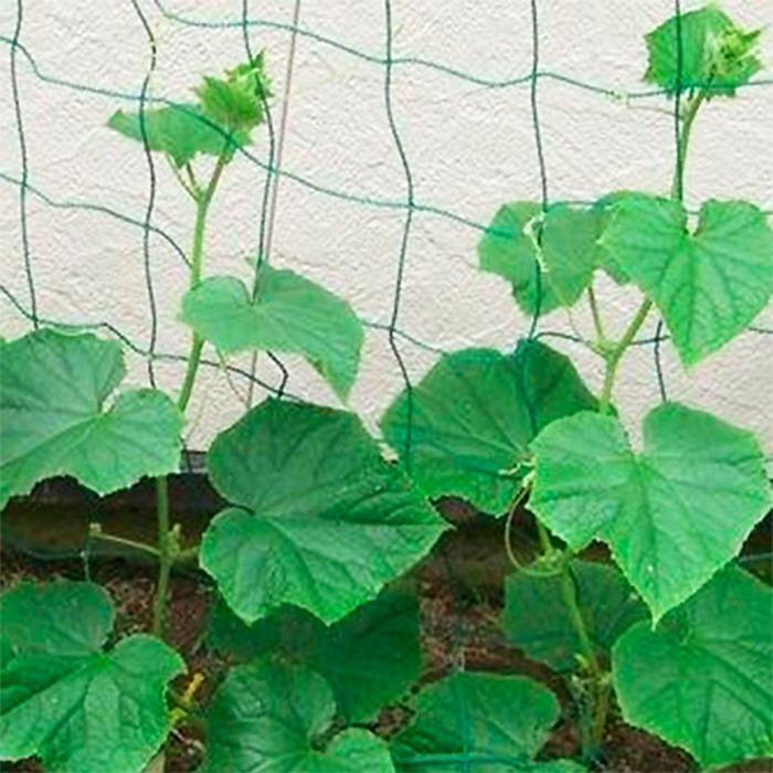 Шпалера для огурцов 2,0х10м (высота 2м длина 10м) сетка для вьющихся растений DE.06.2015  #1