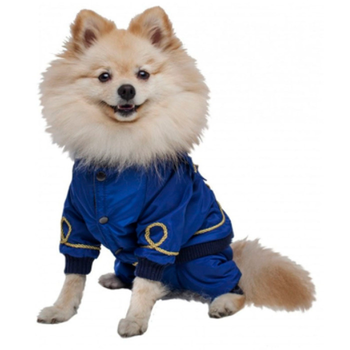 Одежда DogVille комплект полукомбинезон и куртка, на кнопках, демисезон 25см  #1