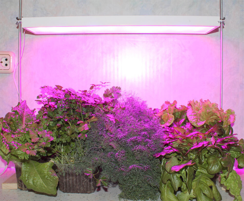 Светодиодный фитосветильник Солнцедар Фито Д-20, светильник для растений / рассады  #1