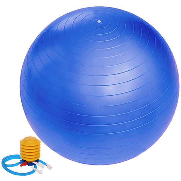 Мяч для фитнеса Sportage 65 см 800гр с насосом, голубой #1