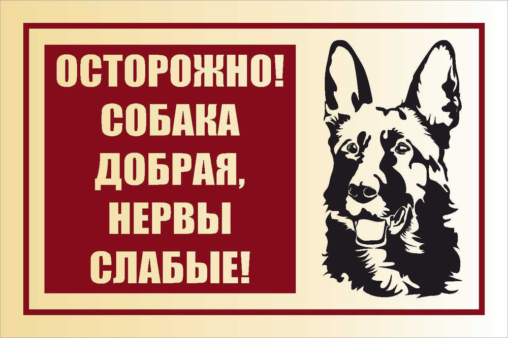 Информационная табличка "Осторожно, злая собака", 300х200 мм  #1