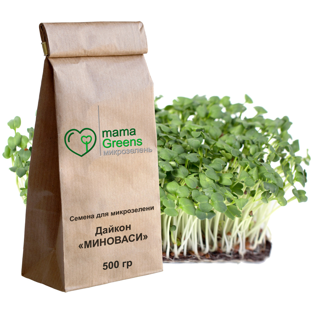 Семена Дайкон Миноваси 500 гр - весовые семена для выращивания микрозелени и проращивания в домашних #1