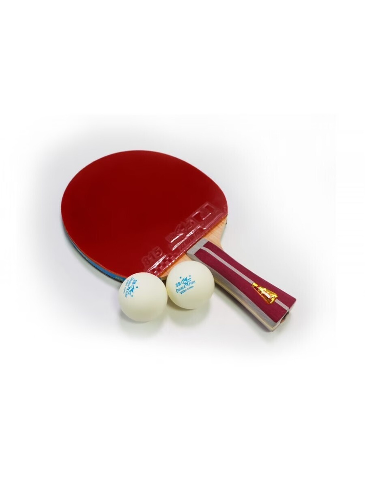 Ракетка для настольного тенниса Start Line FISH 2A+ для начинающих игроков и любителей. Одобрена ITTF. #1